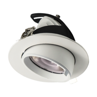 Schwenkbare Downlights