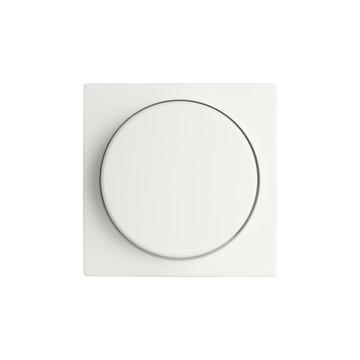 ION V1-serie mat alpin wit Schakel en afdekmateriaal