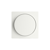 ION V1-serie mat alpin wit Schakel en afdekmateriaal