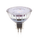 GU5.3 Led spots