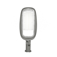 LED-Straßenlampen