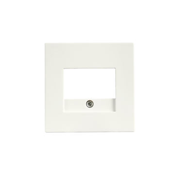 ION INDUSTRIES | CENTRAALPLAAT | CHARGER | USB A + USB C TAE | V1/J1 | MAT ALPIN WIT