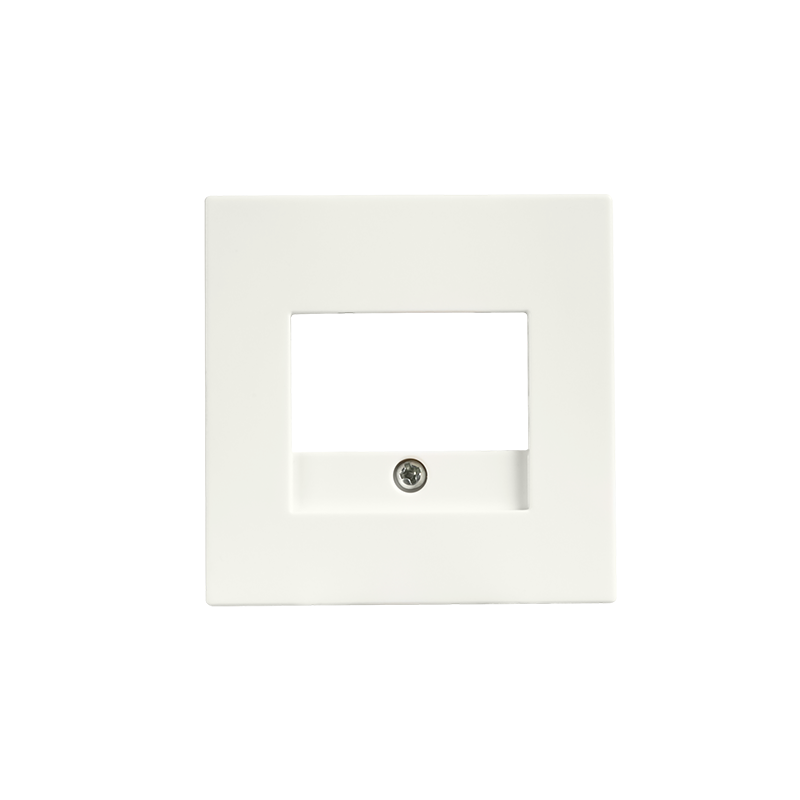 ION INDUSTRIES | Zentralplatte | Ladegerät | USB A + USB C TAE | V1/J1 | Mattes Alpinweiß