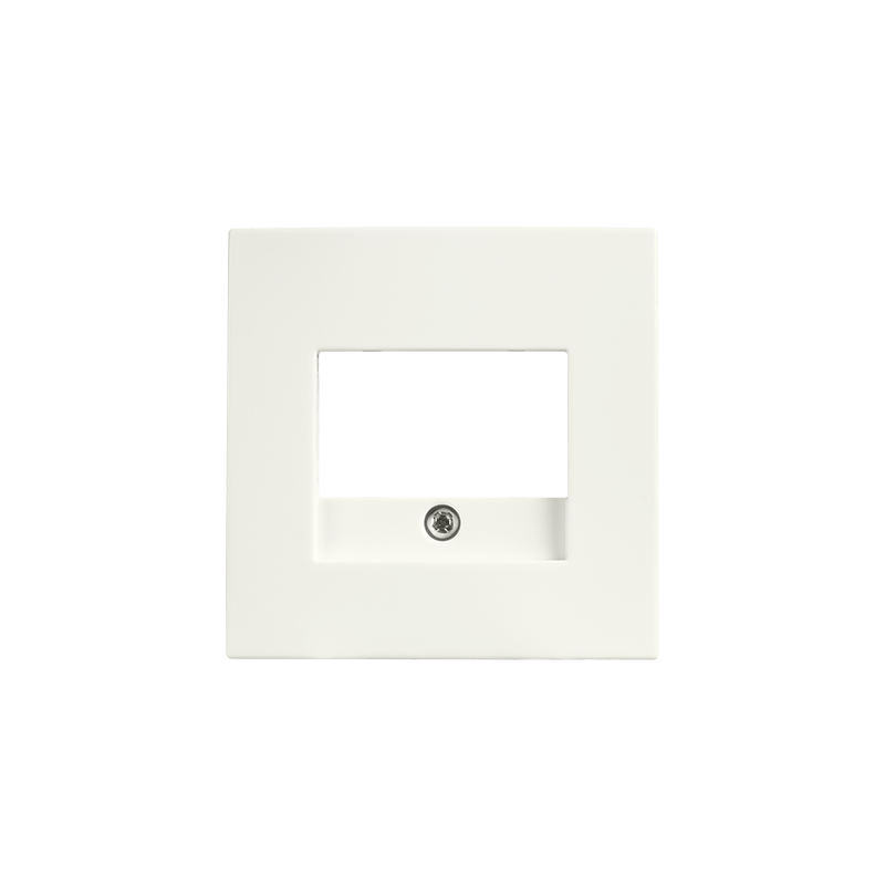 ION INDUSTRIES | Zentralplatte | Ladegerät USB A + USB C | TAE | E1 | Mattes Alpinweiß