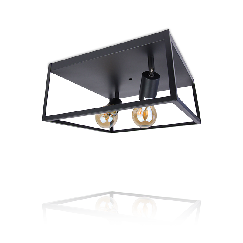 plafondlamp zwart industrieel