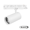 809034 - DALI 3-FASE RAILSPOT - CCT Switch - Wit