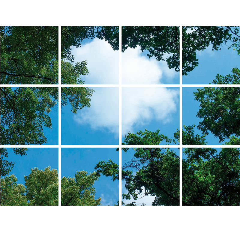 Fotodruck Wolken-Wald-Motiv | verteilt auf 12 Panels | 595x595mm