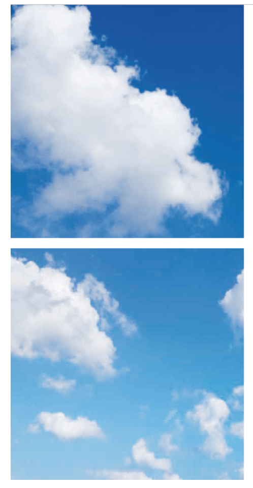 FOTOPRINT AFBEELDING WOLK | VERDEELD OVER 2 PANELEN | 595 X 595MM