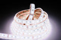 IP68-24V 5 METER 5050/60 SILICON 13MM-0